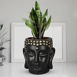 Lasaki Buddha 6 Black Gold Ceramic Pots for Indoor Plants, Planters, Flower, Pots, gamla,Outdoor,Balcony,Home,Round,Garden, Office Decor,Succulent(H - 15.5 X D - 16 cm)(Plants not Included)-picture-10