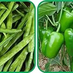 Agnico Capsicum (30 Seed) And Cluster Beans (50 Seed) Vegetable Seeds Pack.-image-49