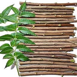 Natural Neem Chew Sticks - Ayurvedic Organic Neem Datun (20 Pieces) Nim Tree Twigs for Teeth Brushing, Bad Breath Elimination, Tooth Ache Relief & Healthy Gums - (Pack of 20)-image-69