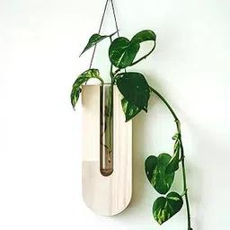 HS ART Wall Hanging Crystal Glass Test Tube Vase in Wooden Stand for Flowers Plants (1)-picture-50