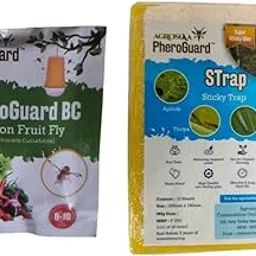 Agrosiaa PheroGuard BC Bactrocera Cucurbitae Lure | Melon Fruit Fly Control Pack of 10 | & | 8 x 12 cm Yellow Sticky Trap Pack of 10 Sheets Garden Agriculture Control-picture-16