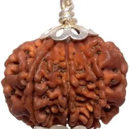 certified gems 8 Mukhi Rudraksha Nepal 8 Mukhi Rudraksha Original Certified Nepali 8 Face Rudraksha Original 20mm 8 मुखी रुद्राक्ष Ath Mukhi Rudraksha Eight Face Rudraksha Original-picture-32