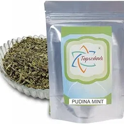Topscorner Podina Mint, 400 Grams Pack-picture-33