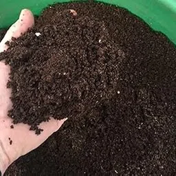 SKG's Buy 1 get 1 free Organic Vermicompost Fertilizer Kechua Khad |Pure 100% Organic Fertiliser Healthy Growth for Garden for All Plants, Home & Terrace Gardening (2)-picture-18