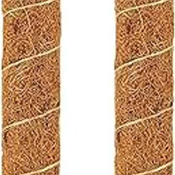 LIVEONCE Coco Pole -Moss and Coir Stick for Indoor, House and Plant Creepers Support 3 FEET -Pack of 2 -Color -Natural-image-10