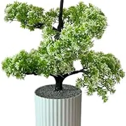 VIOLET Artificial Plant with Pot – 50cm Tall Large Green Plant for Home Décor, Living Room, Shelves & Interior Decoration – Artificial Plant for Indoor Decoration (White Pot/Yellow Flower)-image-0