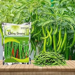 Going Greens Hybrid Chilli Seeds-picture-13