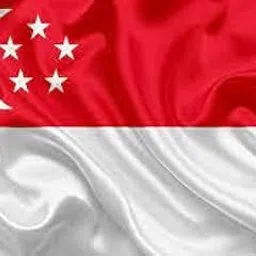 UNIq International Countries Miniature Double Sided Flags Made of 100% Special Silk Fabric (Warp-Knitted Polyester) Ready to use as Option in Brass Flag Stand (Stand By Flag - Singapore)-picture-63