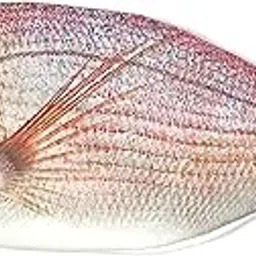 allydrew Fish Novelty Pouch for Stationery Tools and Cosmetics, Fish Shaped Clutch, Pink Fish-picture-42