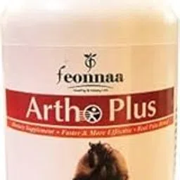 Feonnaa Artho Plus Real Pain Relief (60 Tablets)-picture-20