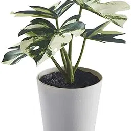 Ikea FEJKA Artificial Potted Plant with Pot, in/Outdoor Monstera, 6 cm (2 ¼ ")-picture-16