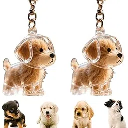 pmeixcy 2Pcs Dog Hair Collector Keychain Charm, Dog Hair Keychain, Pet Memorial Key chains, Storage Transparent Waterproof Storage Keychains image 1