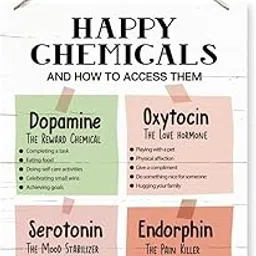 Mental Health Decor Sign, Happy Chemicals and How To Access Them Sign, Rustic Hanging Wooden Plaque Sign, Positive Wall Decor, Mindfulness Hanging Sign for Therapy Office Counselor Office Décor-picture-24