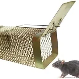 Rat Catcher Mouse Trap, Rodent Control Device for Home, Office, School and Restaurant, Pack of 1-picture-32
