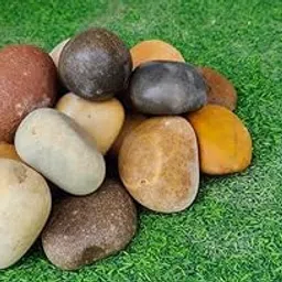 generic True Traders Private Limited SUPPLIERS 1kg Mix River Pebbles Natural Stone Pebbles - Ideal for Landscaping and Home Décor/Garden/Lawn/Home/Aquarium & Fountain Decoration/Fish Tank (1 Kg Pack)-picture-13