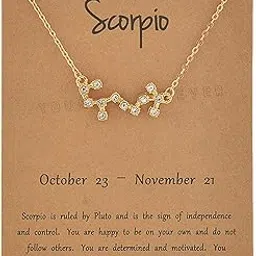 young & forever 18K Gold Plated 12 Zodiac Sign Constellation Letter Pendant Necklace for Women Girls, 18" Birthday Gift-picture-48