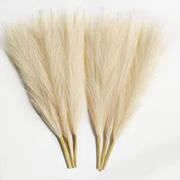 DecoraZone 2 Pcs Artificial Pampas Grass Stick 45cm Long Fake Flower Faux Pampas Grass Fluffy for Vase, Home, Bedroom, Valentine, DIY Decoration Items (Cream) (Without Vase Pot)-picture-24
