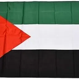 BIG BOOM® Palestine 5ft x 3ft J0U3-picture-24