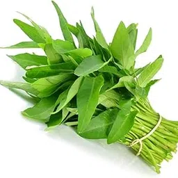 Water Spinach Seeds | Kalmi Saag Seeds | Thai Kangkong Seeds | Leaf Green Spinach Seeds | Herb Seeds | Vegetable Seeds | Seeds for Home Garden (Pack of 100 Seeds)-picture-34