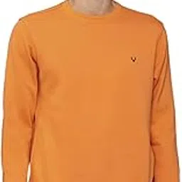 Cotton Men Crew Neck Sweatshirt-image-26