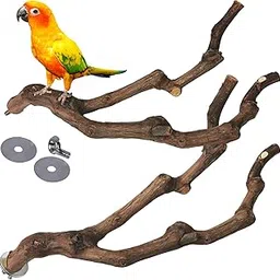 kathson Natural Parrot Perch Bird Stand Pole Wild Grape Stick Paw Grinding Fork Parakeet Climbing Standing Branches Toy Chewable Cage Accessories for Small Budgies Cockatiels Lovebirds 2PCS-picture-13
