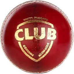 WB RED Leather Cricket Ball, Regulation Size image 1