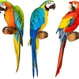 Akki World Colorful Modern Parrot Wall Sticker for Living Room, Kids Room, Wall Sticker (Size - 40 cm X 50 cm)-picture-11