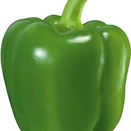 Fresh Hydroponics Green Capsicum, 250gm-picture-35