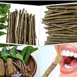 RAJA GROUPS Of Neem Daatun - Neem stick - Azadirachta indica - Neem toothbrush (Pack of 30)-picture-34