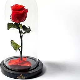 Versailles Forever Love LRR Preserved Red Rose in Glass Dome, Elegant Home Decor, Symbol of Eternal Love, Timeless Beauty-image-19