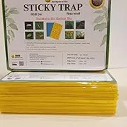 Wavar Yellow Sticky Trap/Insect Trap for Thrips, White Flies, for Garden A5 Size 25 Sheets in Bundle-picture-30
