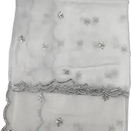Organza Dyeable Cutwork Border And Butti Jaal Dupatta-picture-29