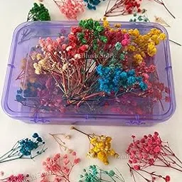 Baby Breath/Gypsy Dried Artificial Flower Sticks Wedding Bridal Hair Accessories for Women (Multicolor)-picture-49