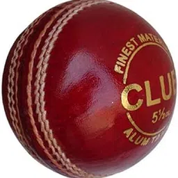 RDS Red Leather Club Cricket Ball-picture-10
