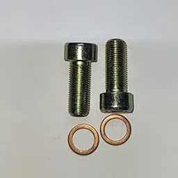 NS Fork Pump Top Alenkey Bolt For Yamaha Rx100/135/RXZ/5Speed (set of 2)-picture-45