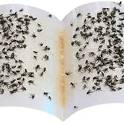 Myfam Fly Trap Sticker Paper/Sticky Traps For Home Flies - Pack Of 15, Brown-picture-22