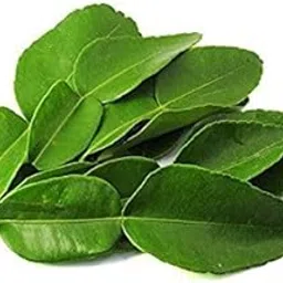 Fresh Kaffir Lime Leaves, Pack of 20 tea leaves-picture-25