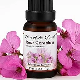 Rose Geranium Essential Oil for Hair Growth, Long & Healthy Hair, Minimize fine line & Wrinkles, Smooth Skin, Healthy Scalp for Men & Women | 100% Pure, Natural, Organic, 10ml-picture-50