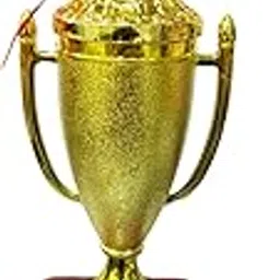 10-Inch Best Performer Plastic Trophy - World's Best Sister F-359-picture-20