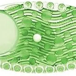 Solid Air Freshnr Rfil, Cucmbr Melon, PK10-picture-29