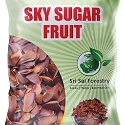 Sugar Badam Seed Control Naturally - Sky Sugar Fruit Graded Seeds,Fresh,100 Gram-image-66