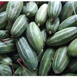 20 Seeds, Parwal seeds hybrid all seasons, High germination image 1