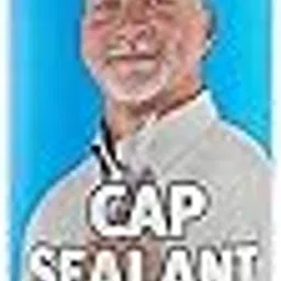 Dicor 351Csb-1 Black Cap Sealer (10 oz)-picture-17