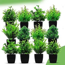 Dodecroo® Small Potted Faux Plants – Pack of 12 Faux Eucalyptus Artificial Plants, Indoor Fake Plants for Home Décor, Office, Living Room, Bedroom & Outdoor | 17.5cm-image-65