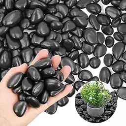 Garden Art Polished Pebbles | Natural Stones for Home Decor, Garden Landscape, Vase Filler, Pot Plants and Fishtank, Tree Surrounding (Black Medium, 2 KG)-image-25