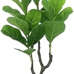 De Gardenia Decorative Artificial Fiddle Leaf Fig Tree | 76 cm Tall Faux Green Plant with Black Pot for Home, Office, Garden, Indoor & Outdoor Decoration (Pot Not Included)-image-22