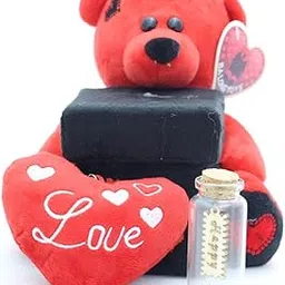 Lilone Valentine Special Red Teddy Gift Box with Heart Keychain and Message Bottle Gift for Girlfriend and Boyfriend-picture-40