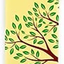 Forest Fragrance Economic Incense Sticks | Pack of 5 (90gm per Pack) | White Forest Agarbatti-picture-26