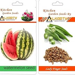 alkarty Lady Finger and Water Melon Seed(20 Seed)-picture-23