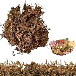 500 gm Large Capacity Original Dry Moss for Potted Plants- Natural Moss Decor Faux Moss for Fake Plants Indoor Planters Micro-Landscape Terrarium Decor, Forest Moss for Hamsters-picture-49